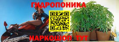 прущие крисы Заволжье