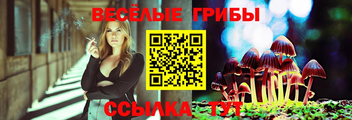 наркотики  Вход с VPN  Лянтор  Псилоцибиновые грибы Psilocybe 